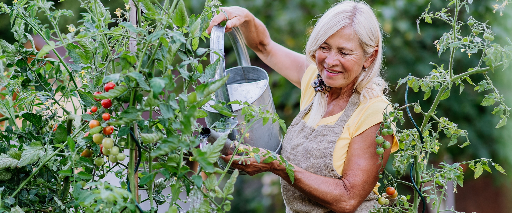 gardening tips for seniors what to grow