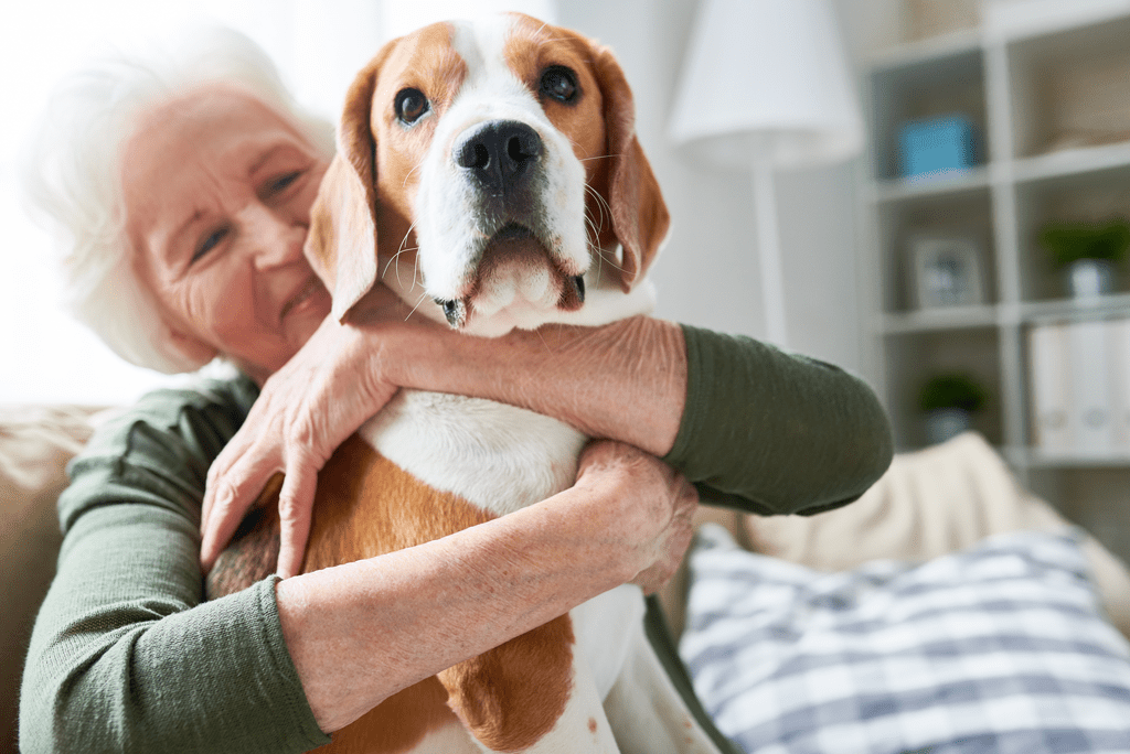 how to combat loneliness - adopt a pet