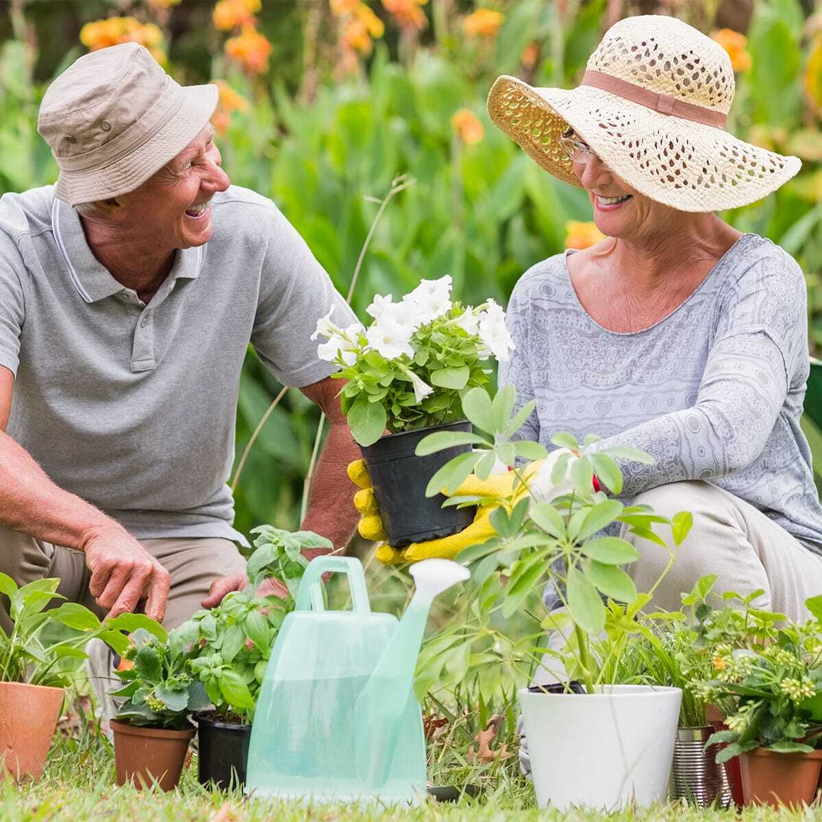 gardening tips for seniors thumbnail